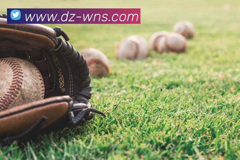 威尼斯人官网平台生态图